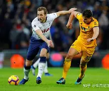 热刺后防核心强大，成为球队稳定力量的简单介绍