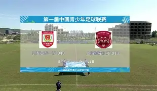 关于大连一方队将与杭州绿城队在足球比赛中交手的信息 关于大连一方队将与杭州绿城队在足球比赛中交手的信息