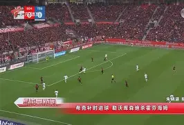 官方网站-包含不伦瑞克客场击败霍芬海姆，迎来胜利的词条